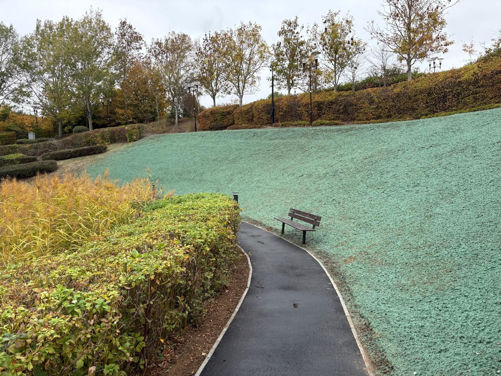 Application of hydraulic seeding mulch at Barclaycard HQ in order to create a BNG compliant bank.