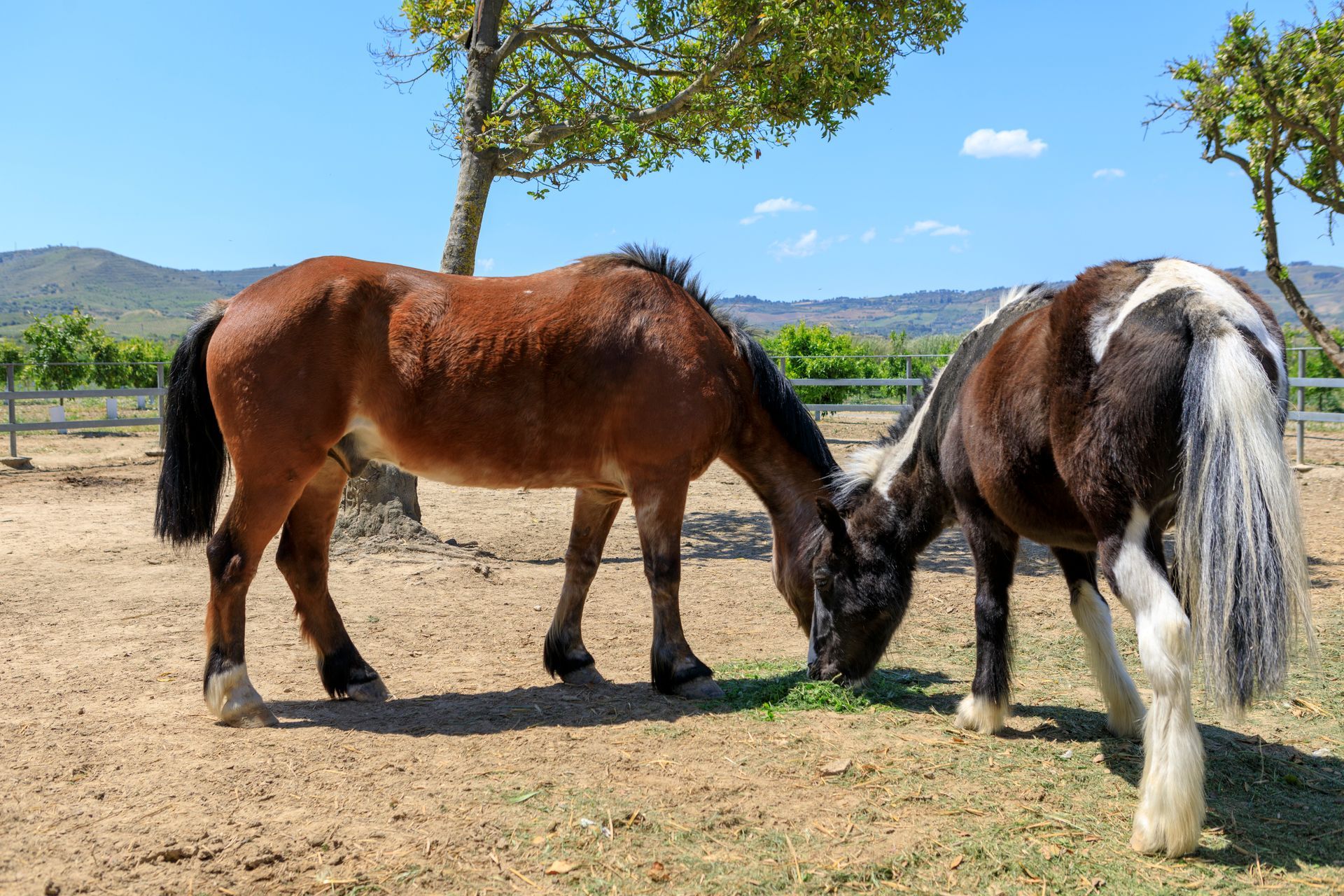 Weekend immerso nella natura a Giugno
