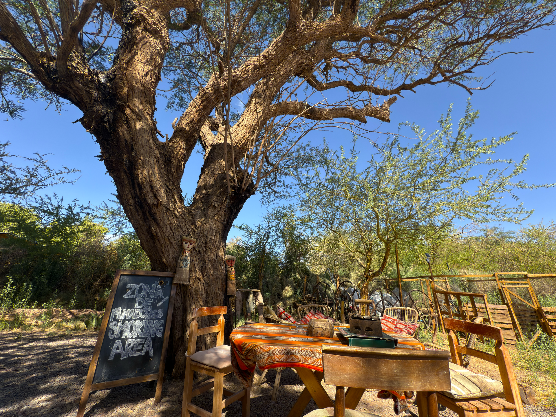 Cafetería al aire libre bajo un gran árbol con mesas y sillas de madera y una pizarra con el menú en un jardín soleado.