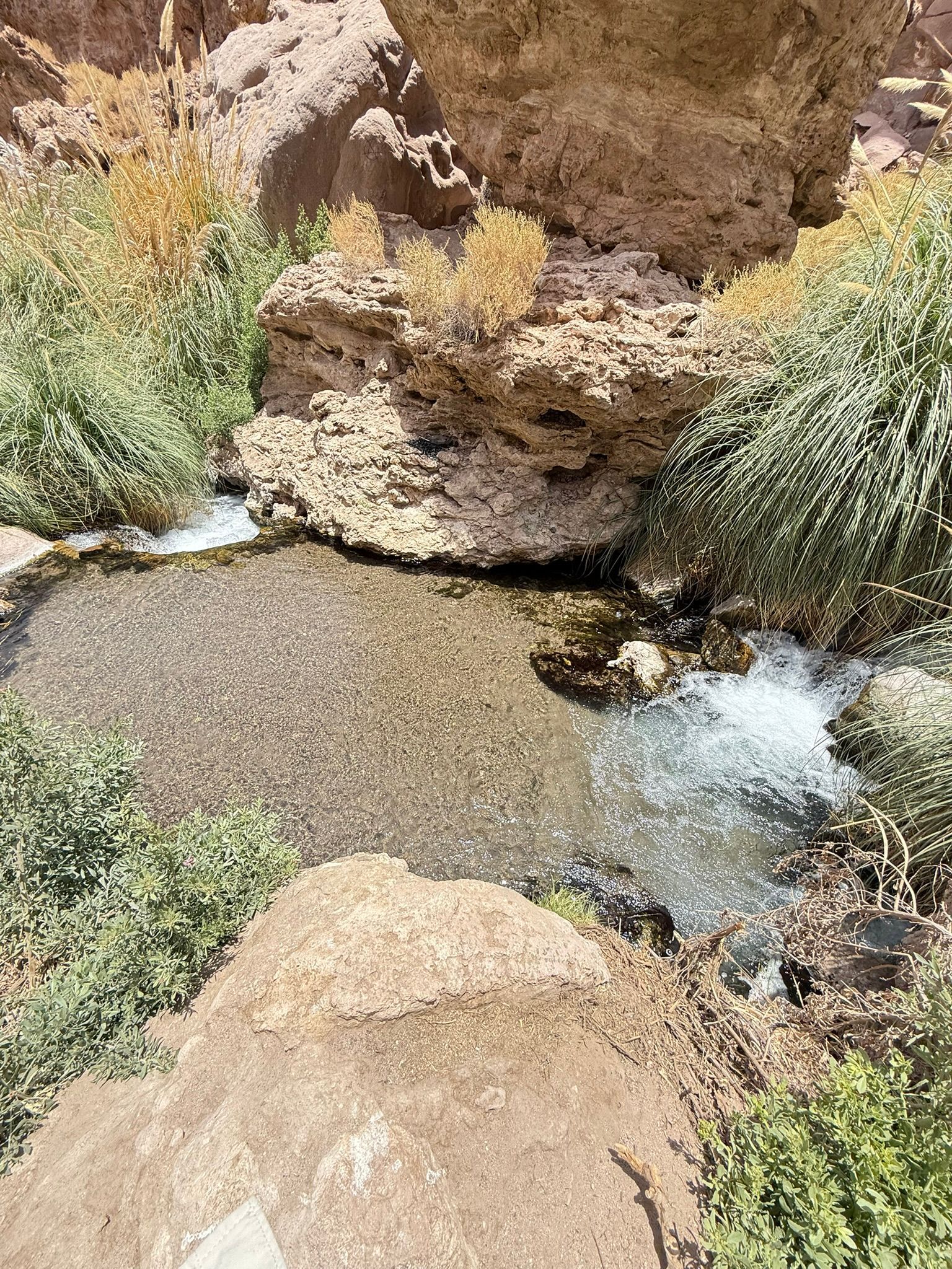 Laguna rocosa en el desierto con agua cristalina, acantilados de color tostado y arbustos verdes en el borde.