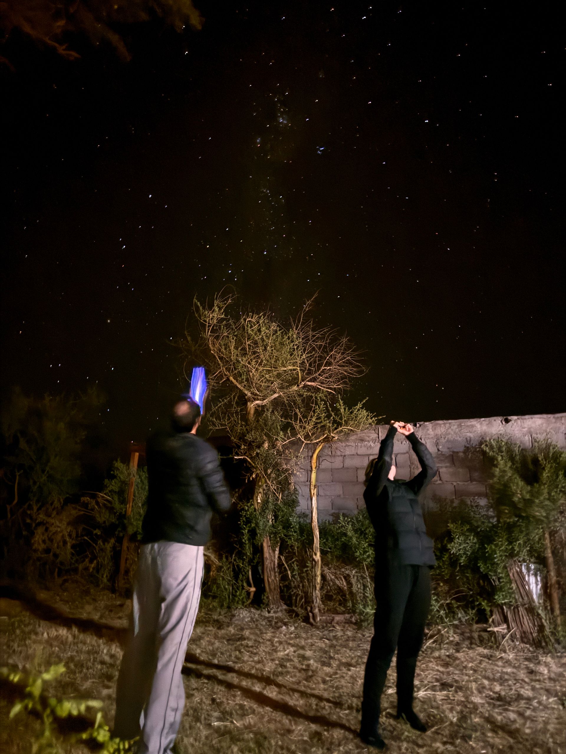 Dos personas al aire libre por la noche, mirando los fuegos artificiales que se proyectan sobre un árbol y un muro.