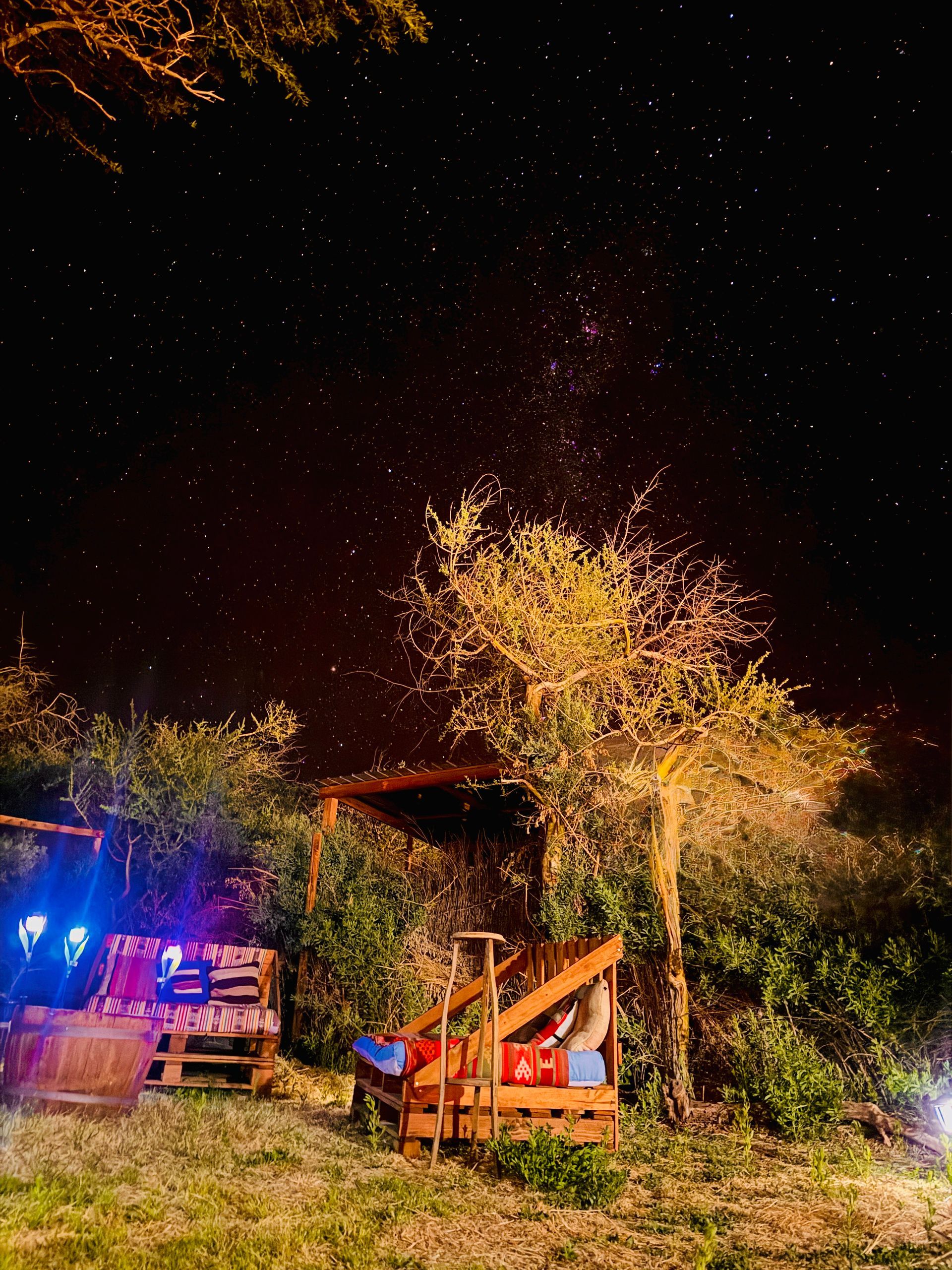 Escena nocturna al aire libre con árboles iluminados, una pequeña cabaña y luces de colores bajo un cielo estrellado.