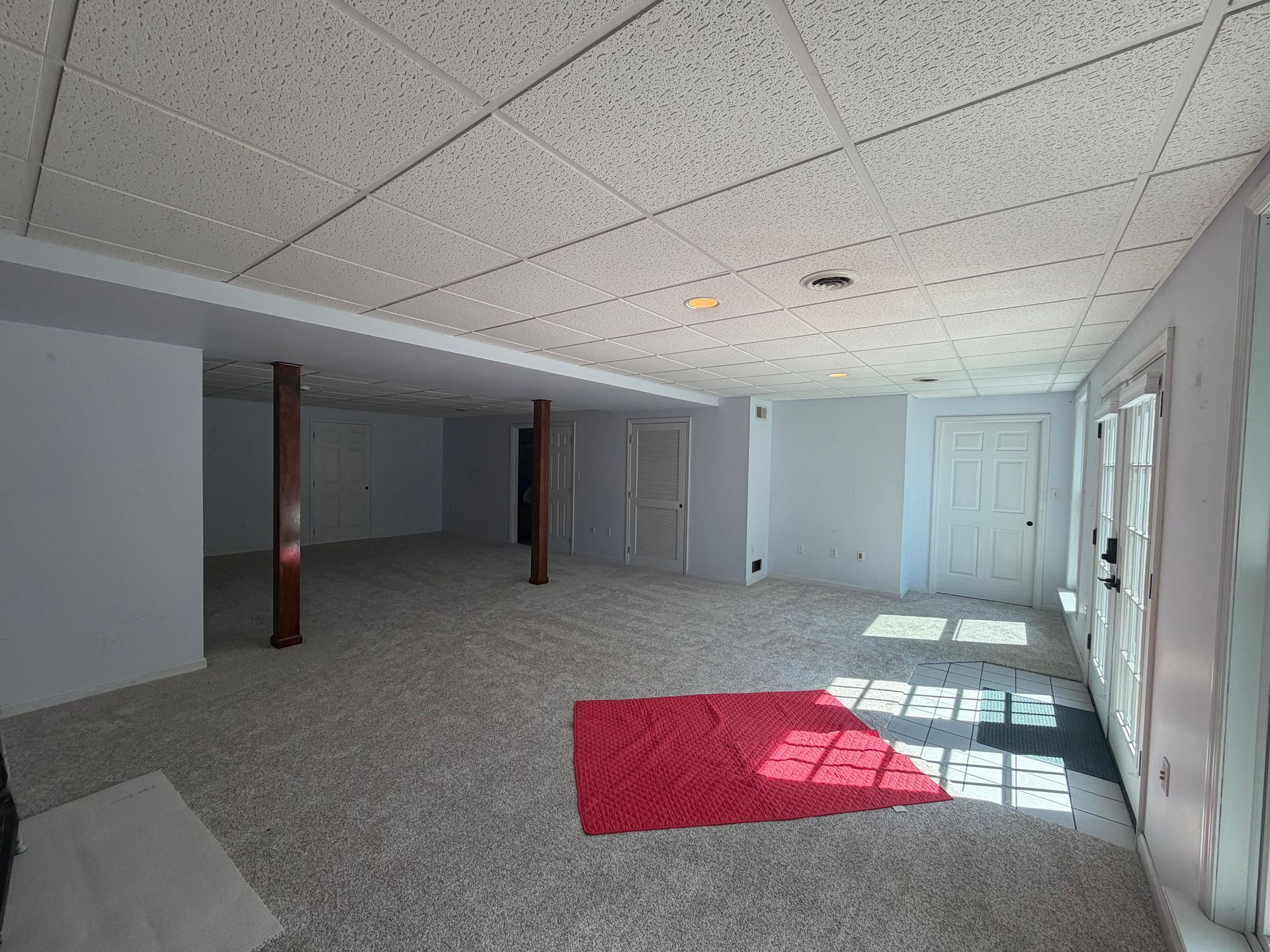 Empty office room with gray carpet, white ceiling tiles, and sunlight streaming onto a red rug near windows.