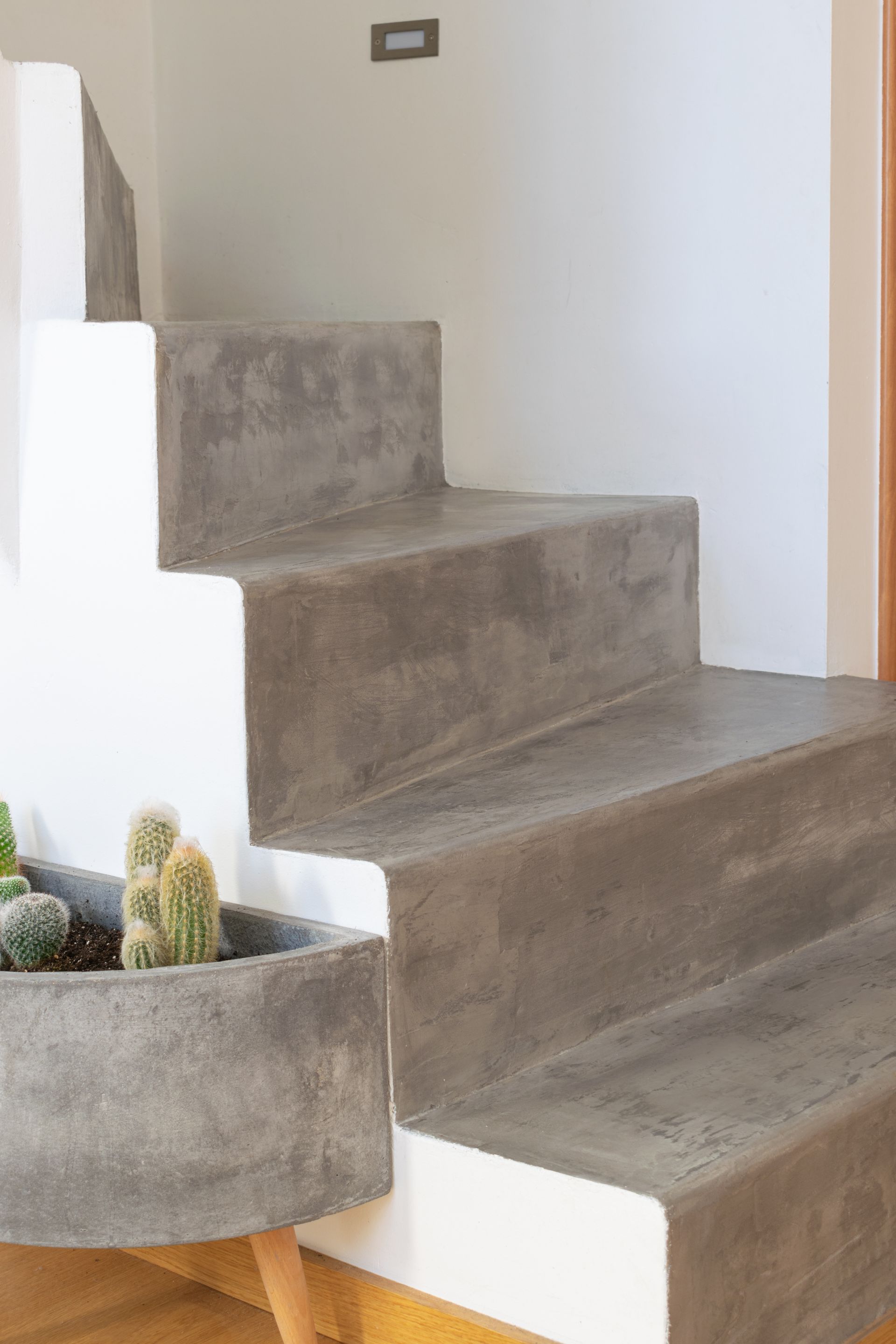Concrete stairs with a built-in planter holding cacti. White walls, wooden floor.