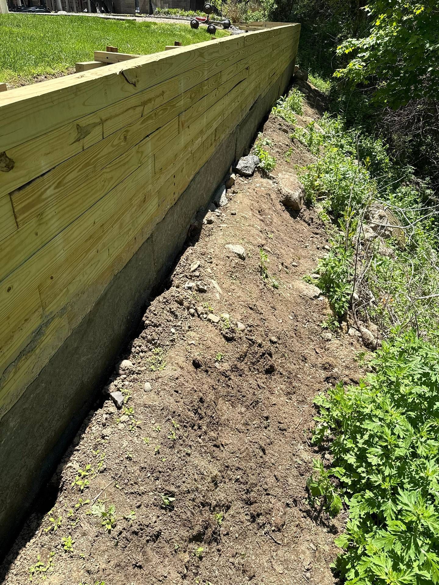Wooden retaining wall beside a bare dirt strip and green vegetation in bright sunlight