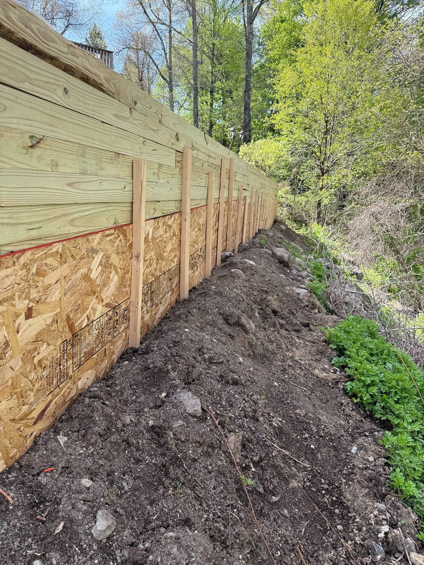 Wooden retaining wall beside a dirt embankment in a wooded, sunny outdoor area