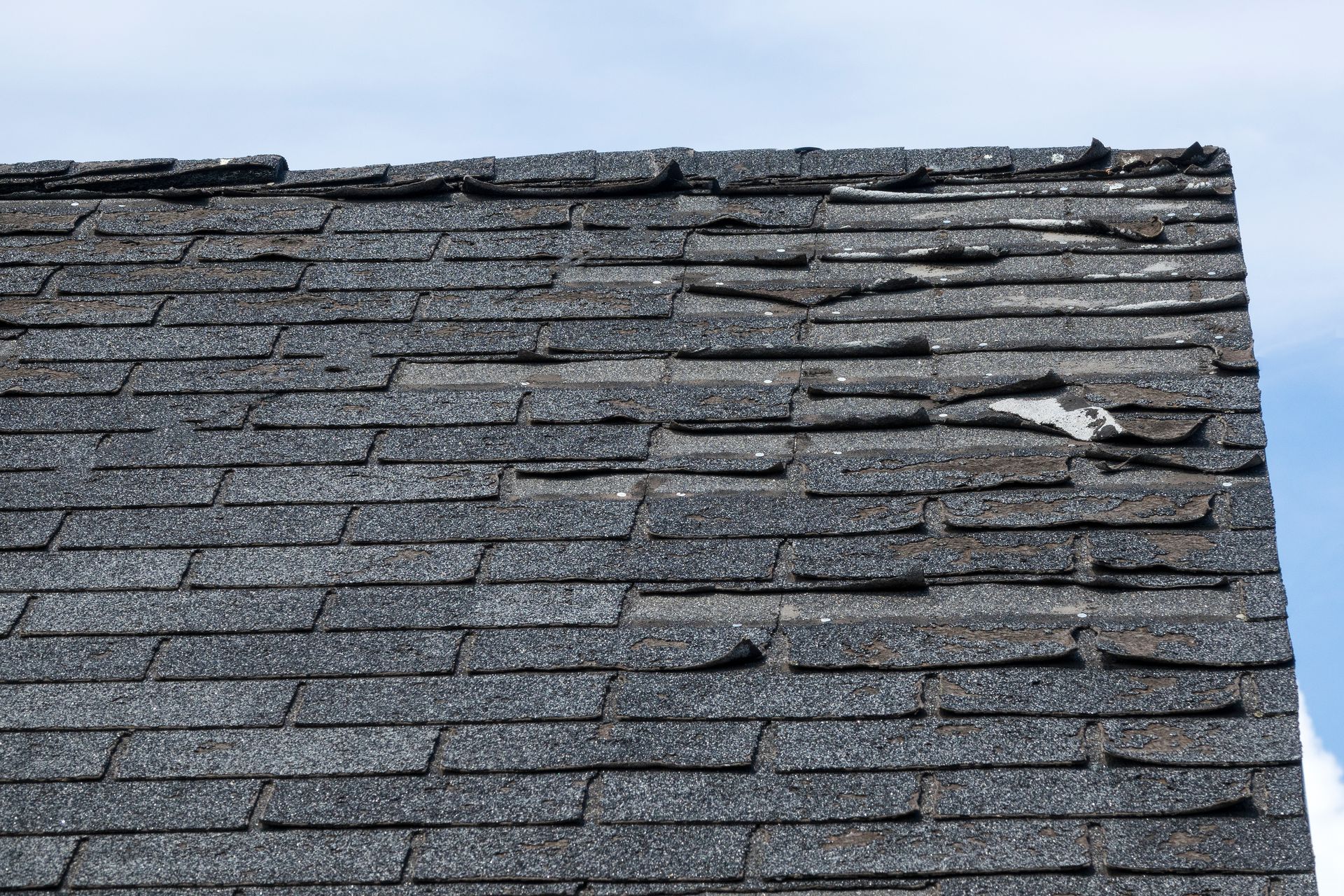 damaged asphalt shingles 