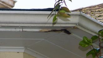Damaged Rain Gutter Repair