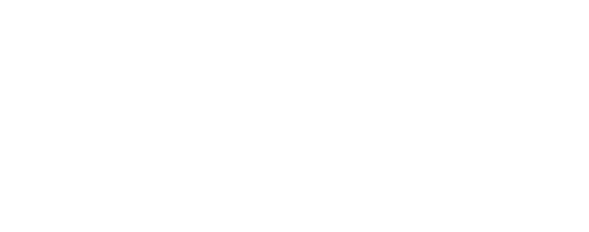 Logo Footer