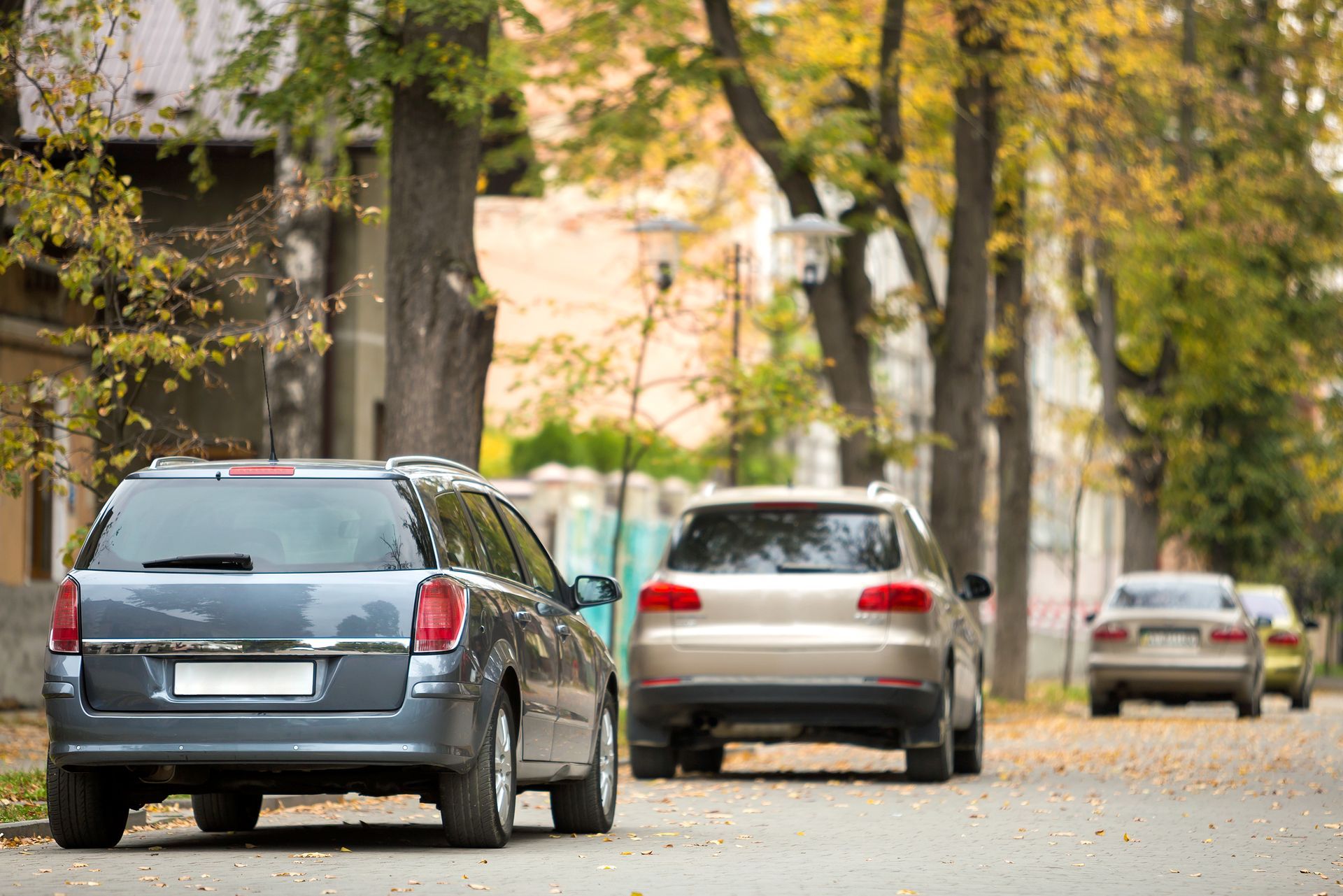 Parked cars line a tree-shaded residential street in autumn.