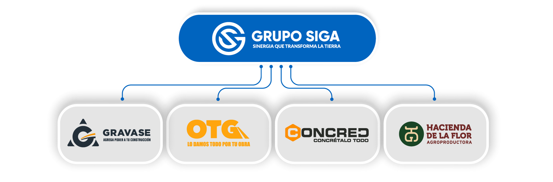 Organigrama de Grupo SIGA con logotipos de Gravase, OTG, Concred y Hacienda de la Flor.