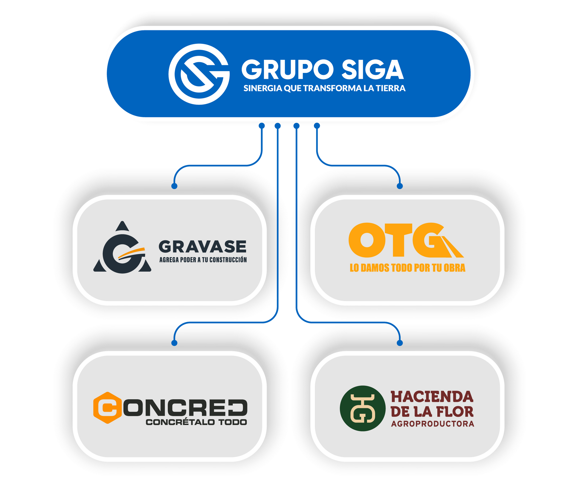 Organizational chart for Grupo SIGA. Shows logos for Gravase, OTG, Concred, and Hacienda de la Flor.