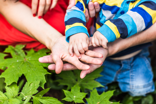 A family is putting their hands together in front of a plant.