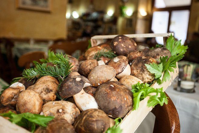 Cesto di funghi freschi con erbe verdi, esposto su una sedia di legno in un ristorante.