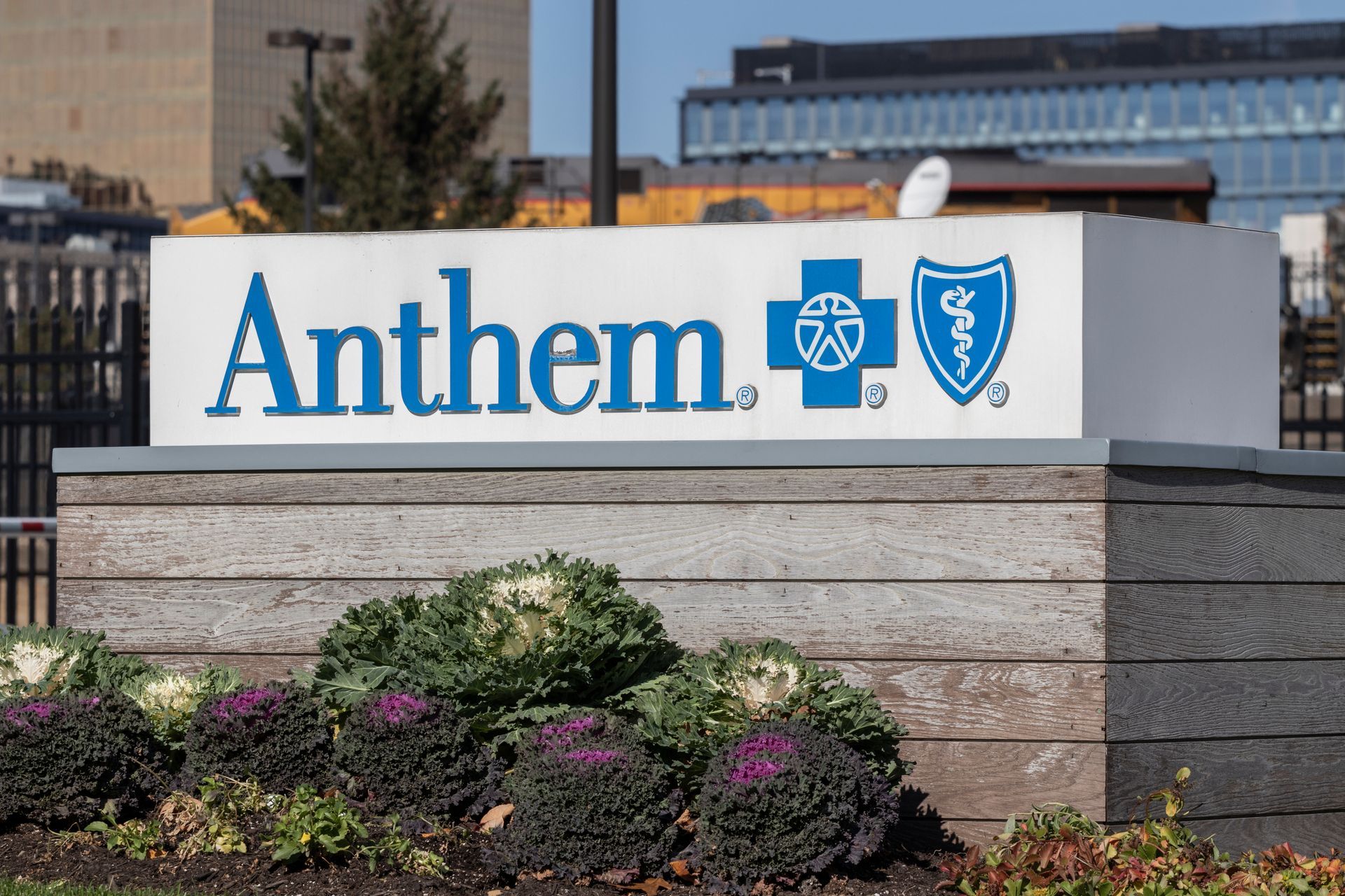 anthem health insurance