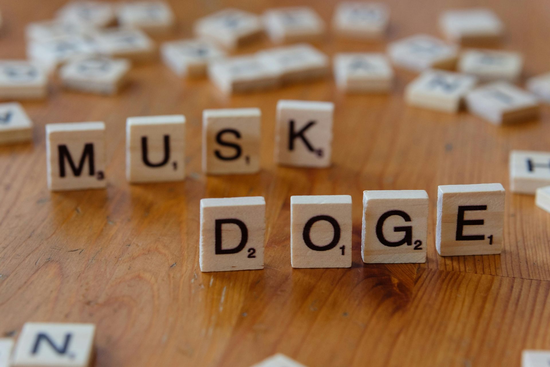 elon musk's brainchild was DOGE