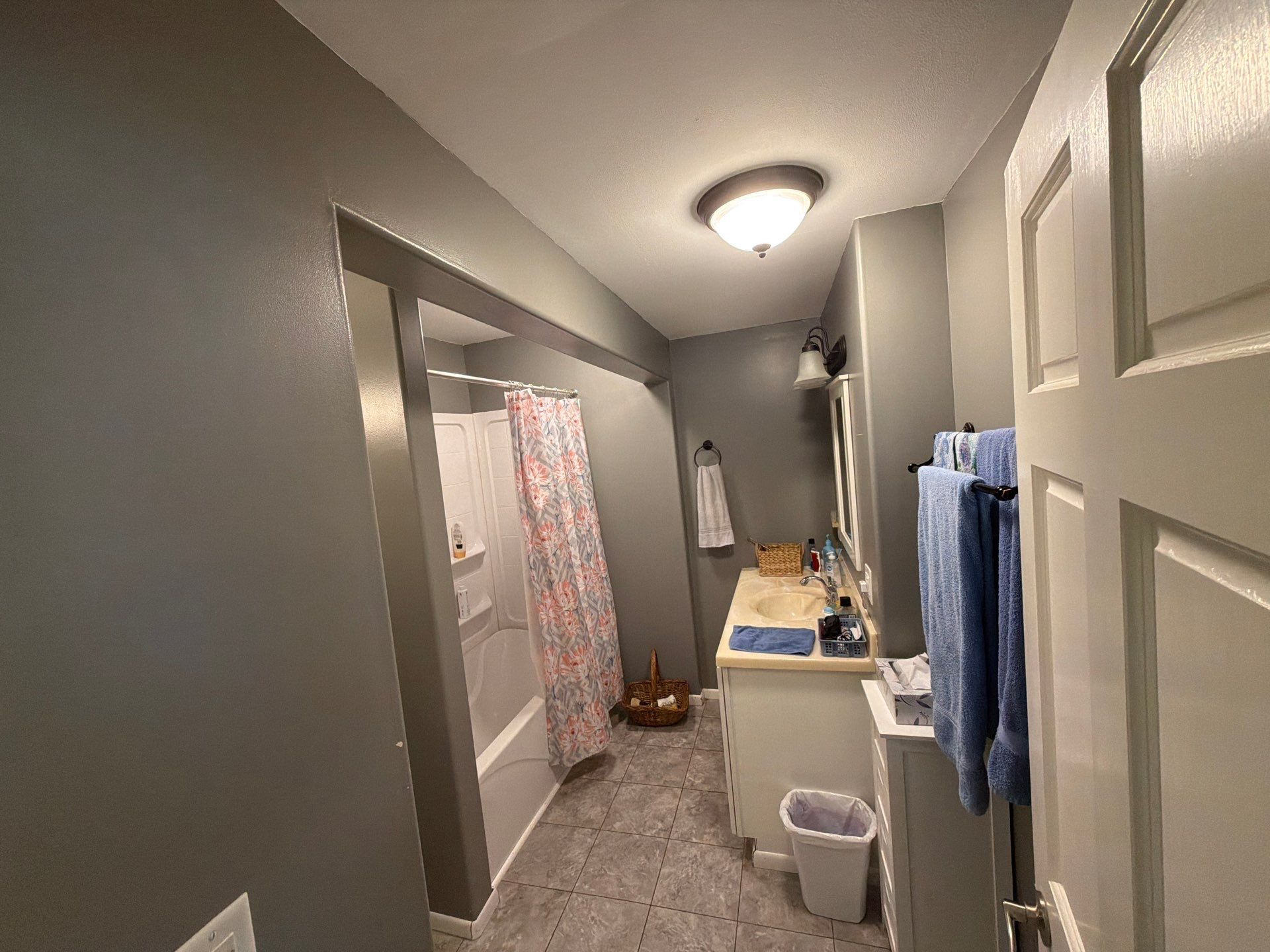 Narrow gray bathroom hallway with towel rack, sink counter, shower curtain, and ceiling light