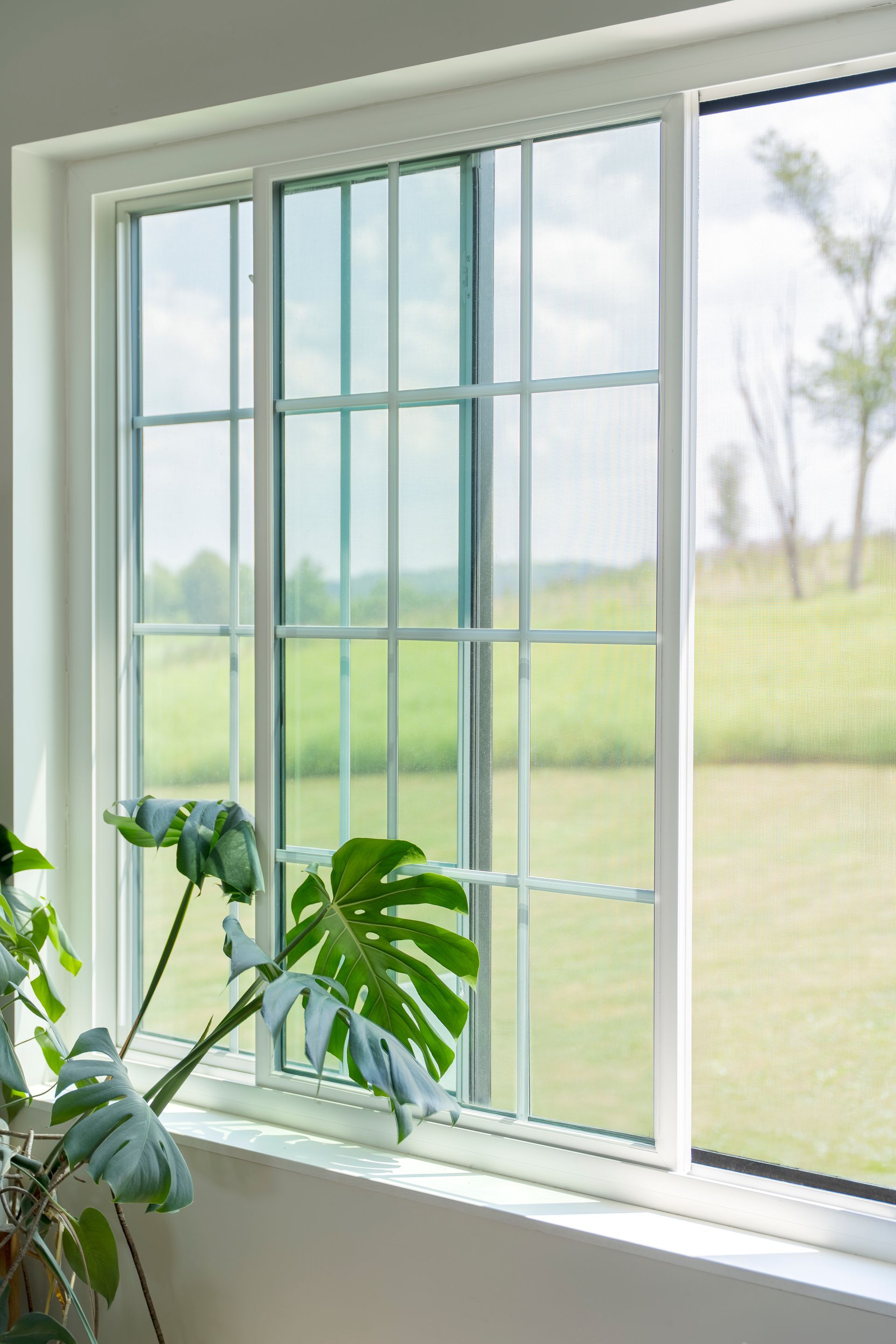 White-framed window with a potted plant in the foreground, overlooking a green field and trees