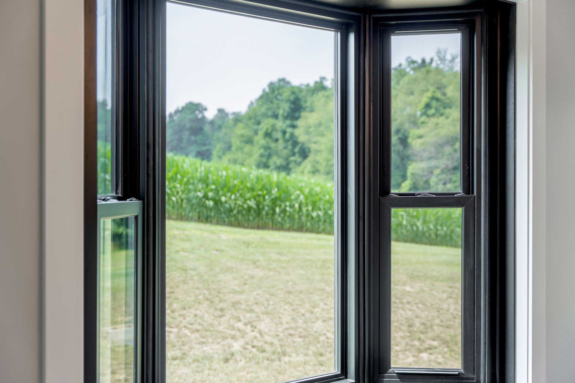Black bay window framing a grassy field and trees outside Black bay window framing a grassy field and trees outside