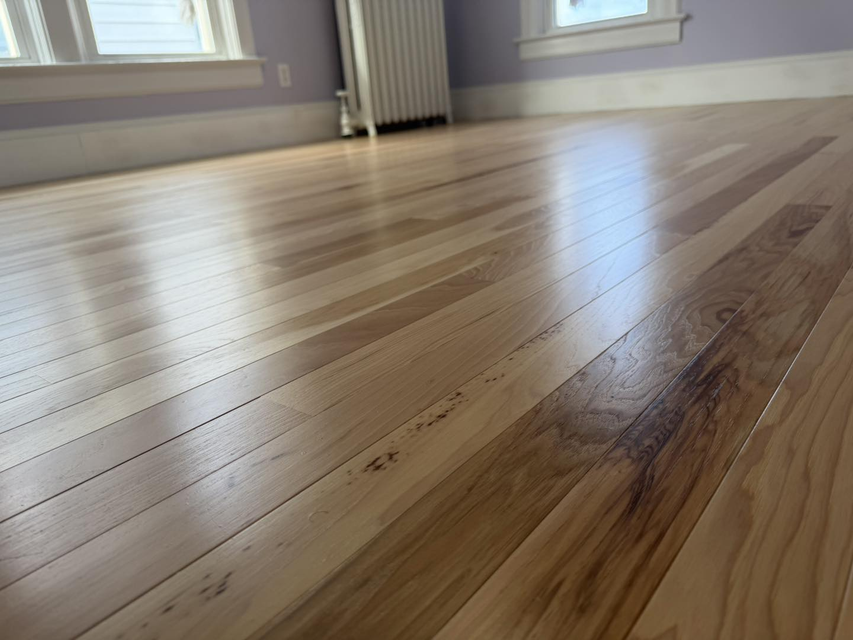 Empty room with light wood floors and two windows, viewed from a low angle