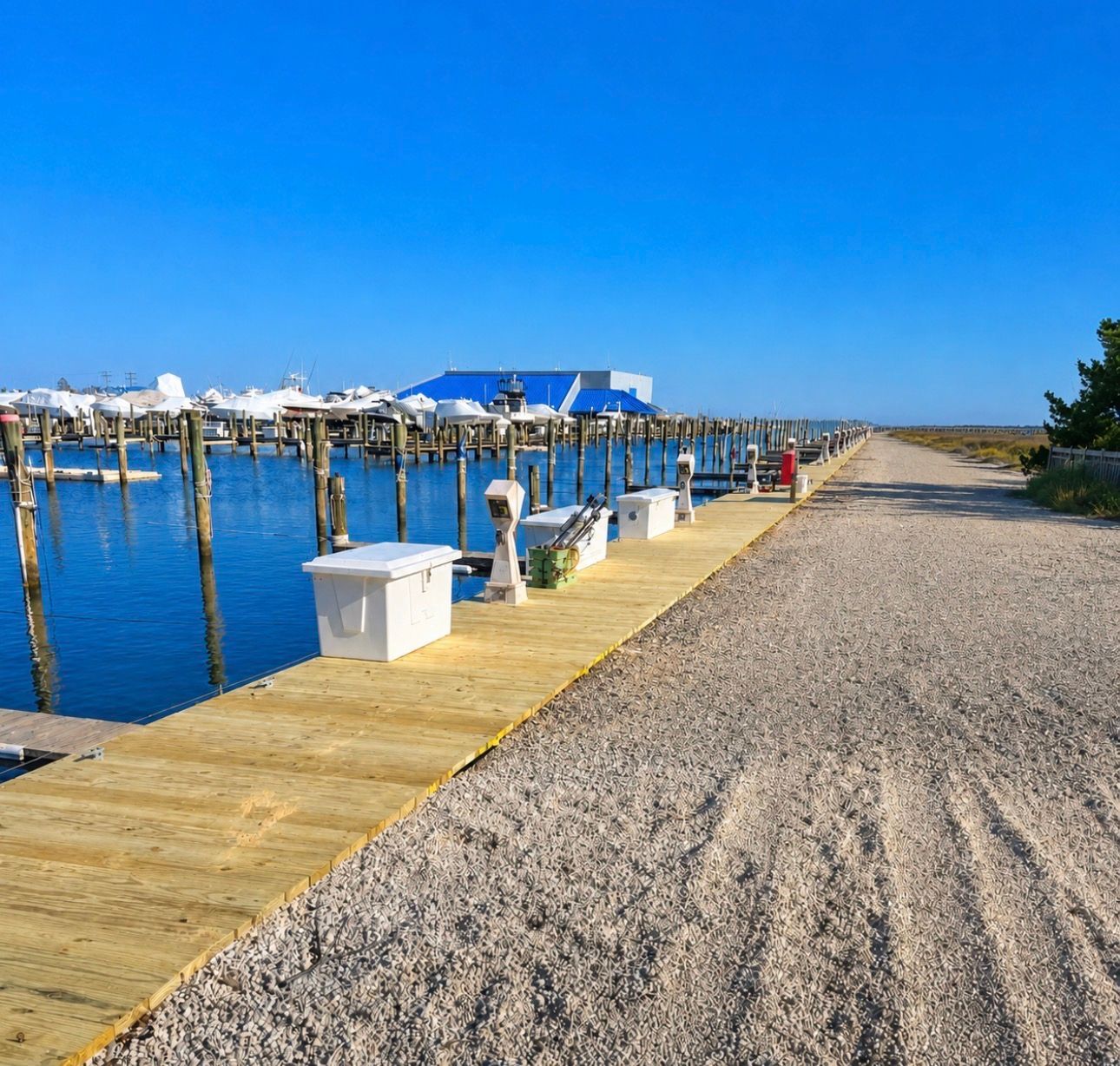 Wooden dock beside calm blue water, with a gravel path, white benches, and a clear blue sky.