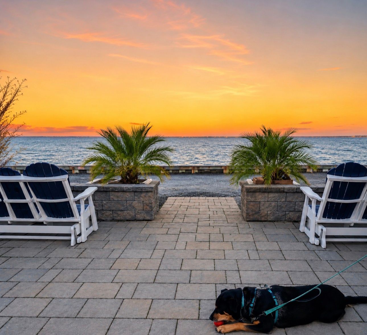 Sunset view of a waterfront patio with lounge chairs, potted palms, and a dog lying on the stone terrace