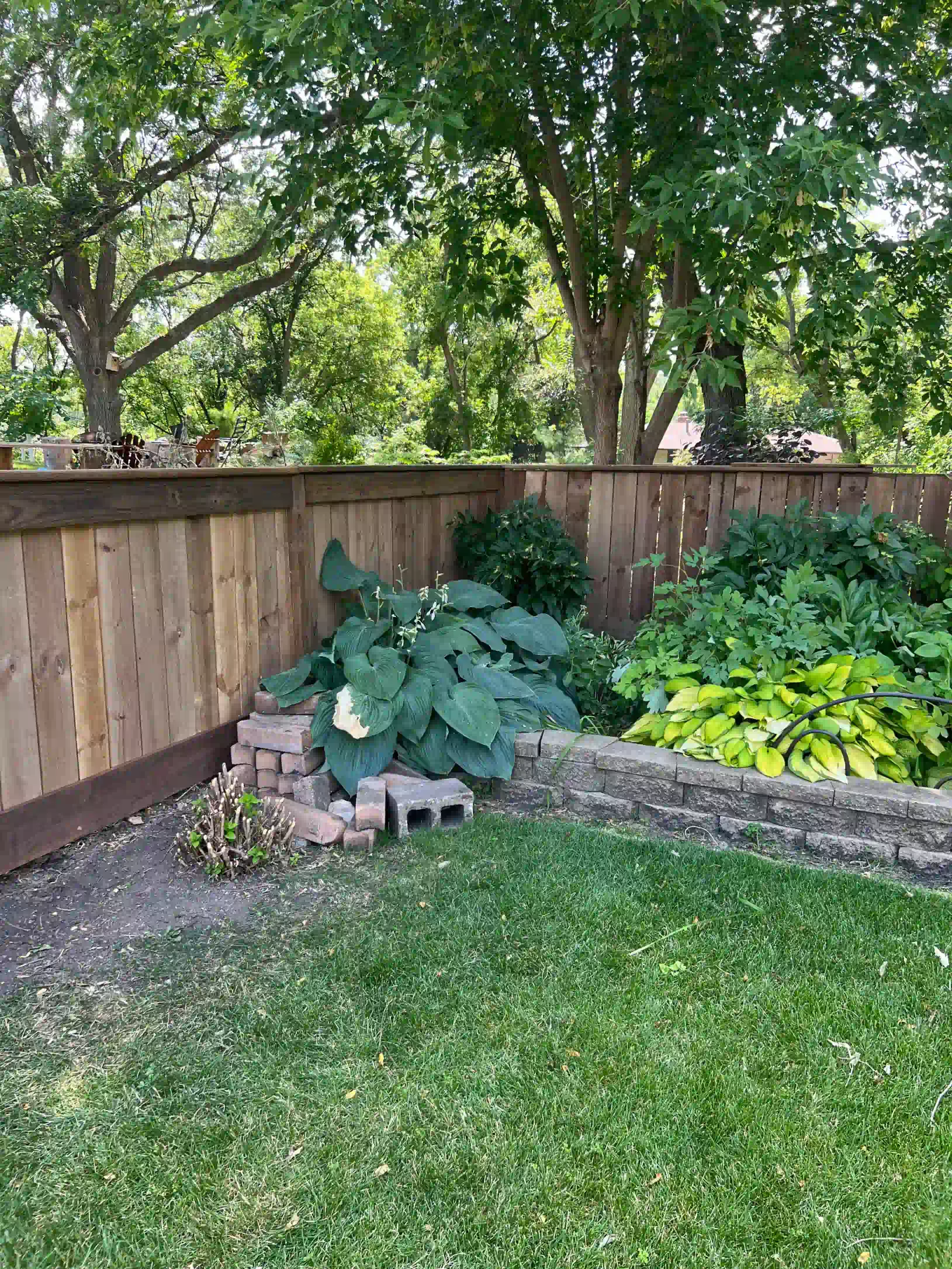 A wooden fence surrounds a backyard filled with lots of plants and trees.