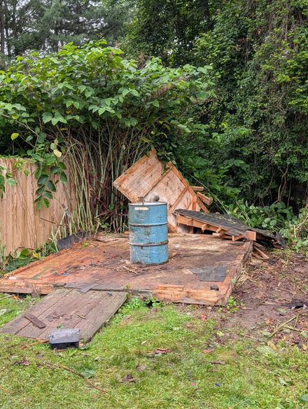 Ruined wooden shed with blue barrel inside, surrounded by overgrown foliage and wooden fence.