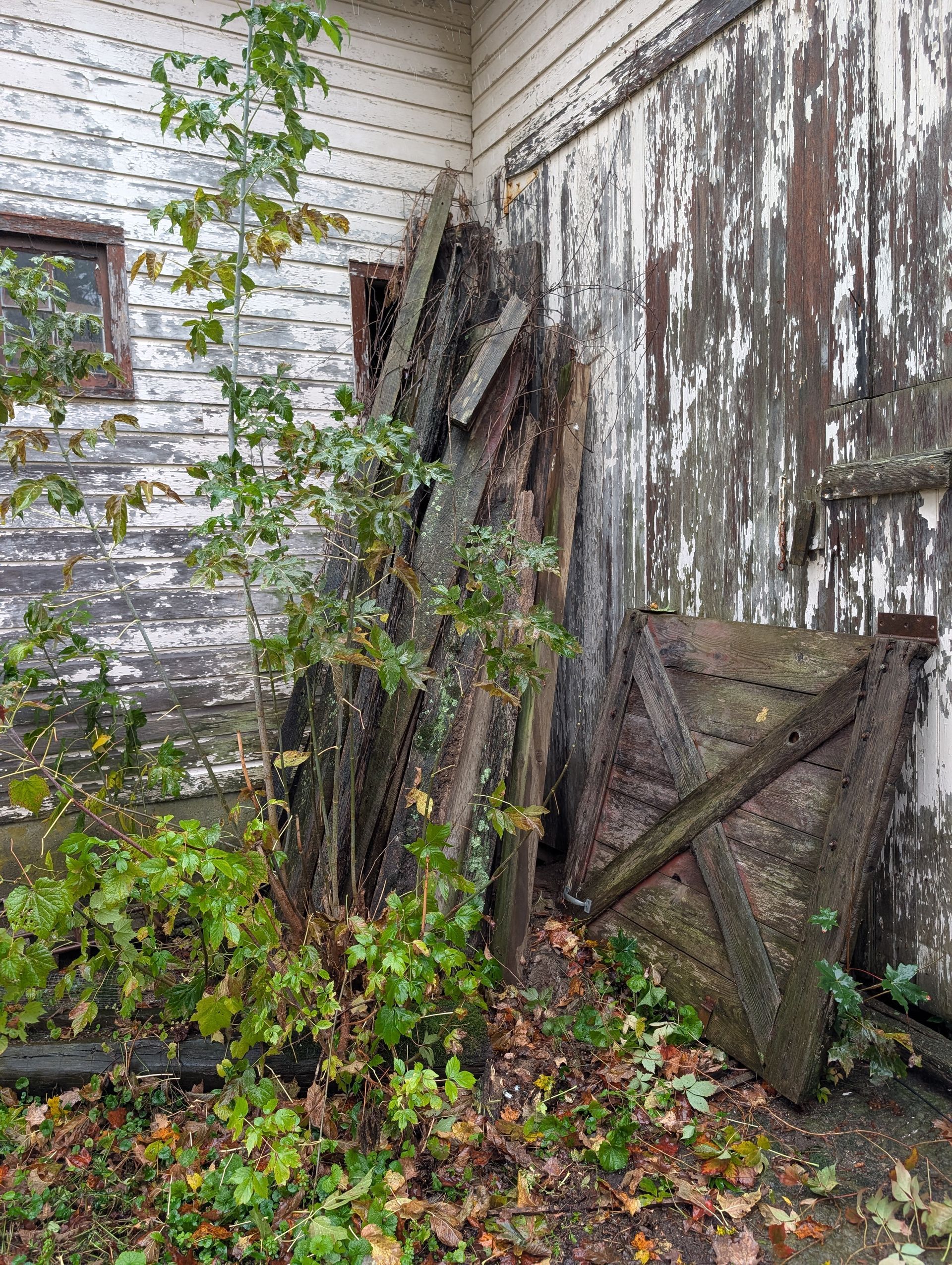 Old weathered wooden planks and door leaning against a building with peeling white paint.