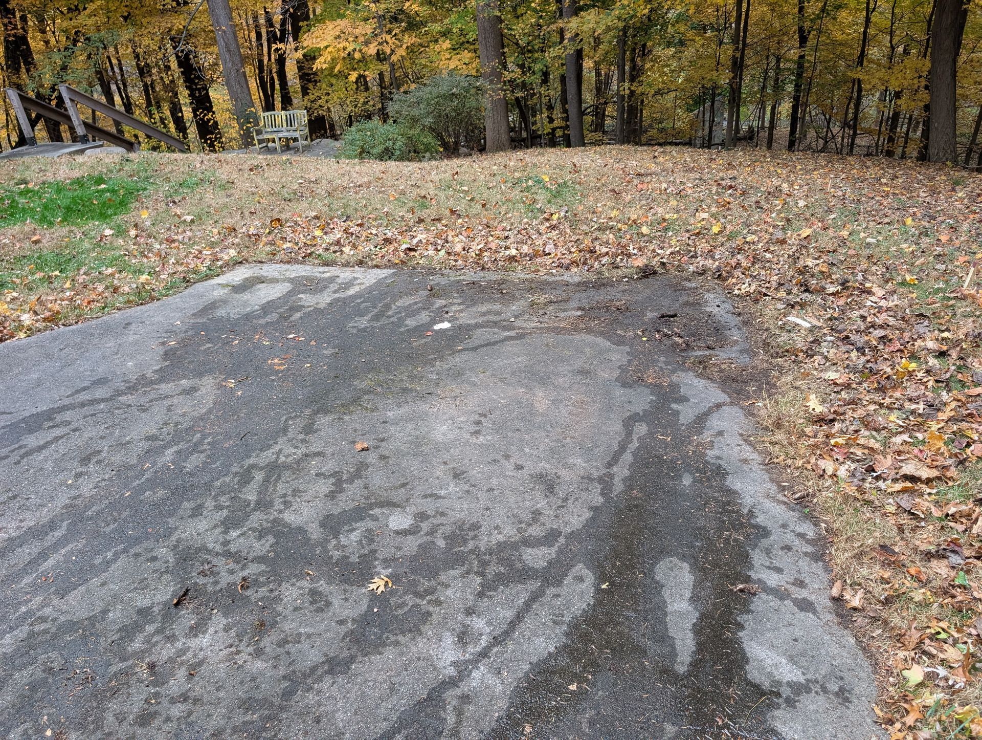 Asphalt surface in a yard, surrounded by fallen leaves and trees in the autumn.