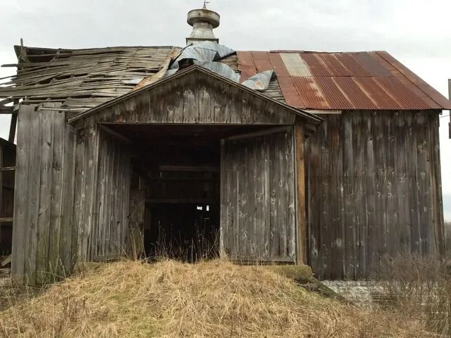 Old weathered wooden barn with a rusted metal roof and tall dry grass in front