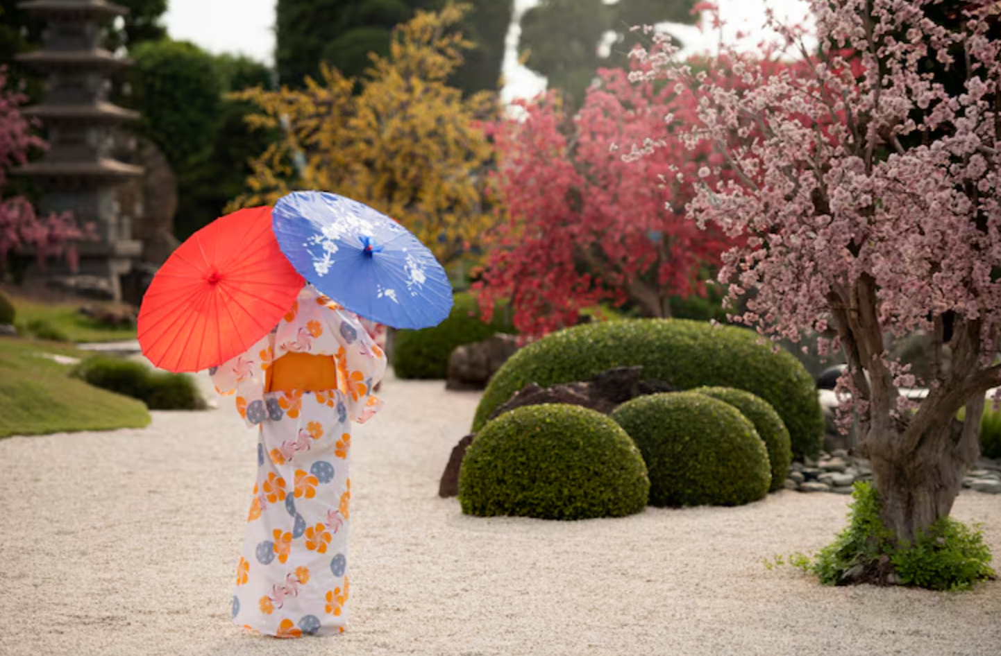 Person holding a red and blue umbrella in a blooming garden path.