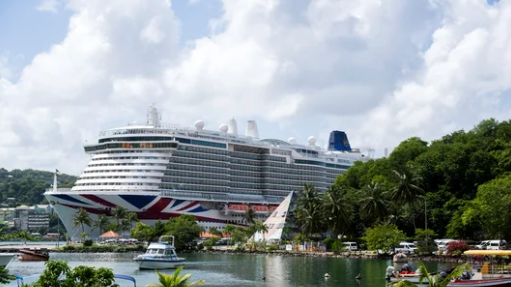 Large cruise ship docked by a tropical waterfront with palm trees and cloudy sky