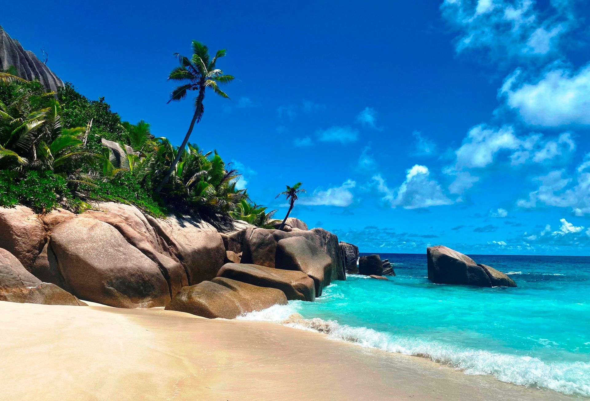 Tropical beach with turquoise water, golden sand, rocky shore, and palm trees under a bright blue sky