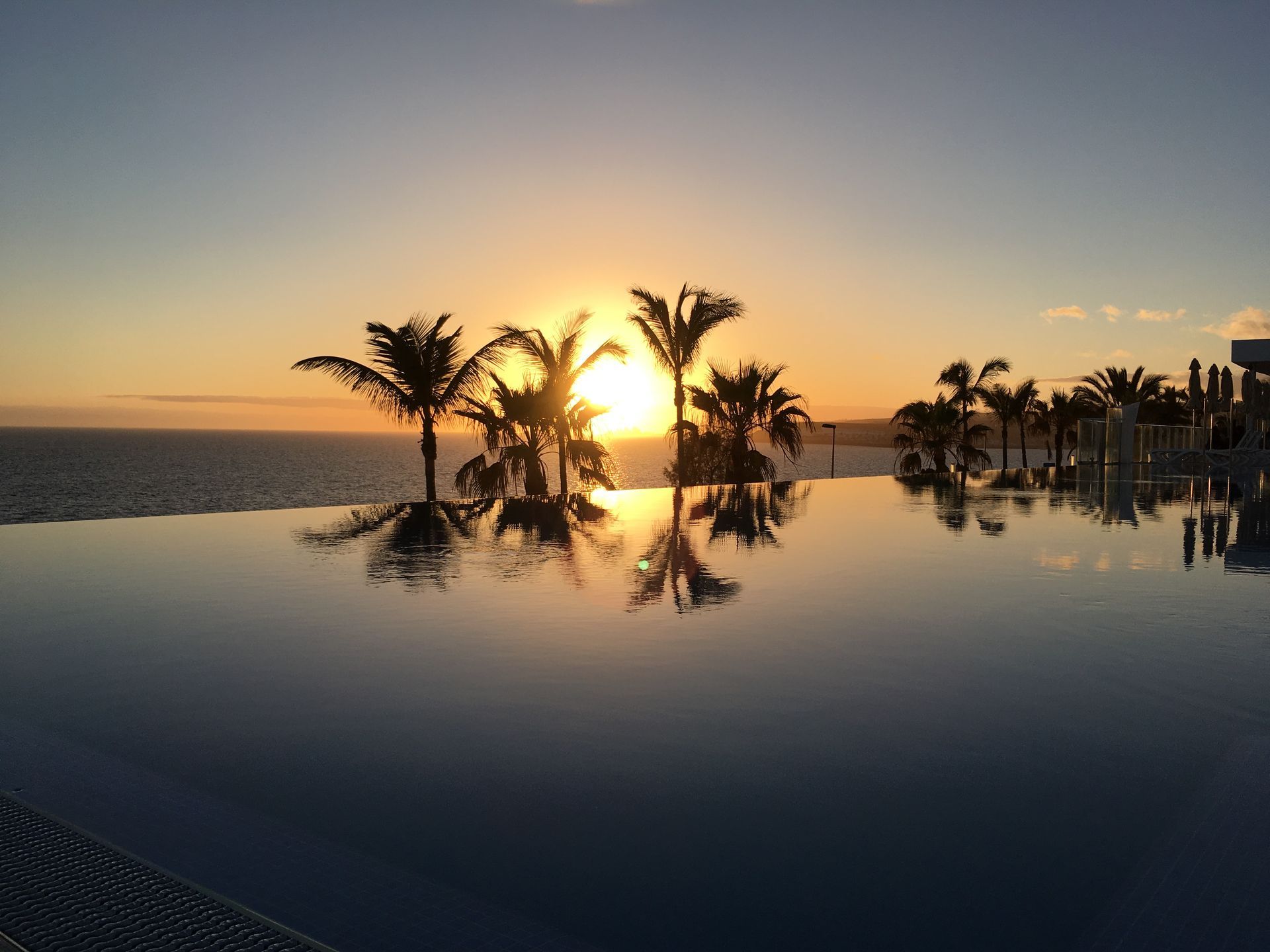 Sunset over a palm-lined infinity pool reflecting the sky and trees