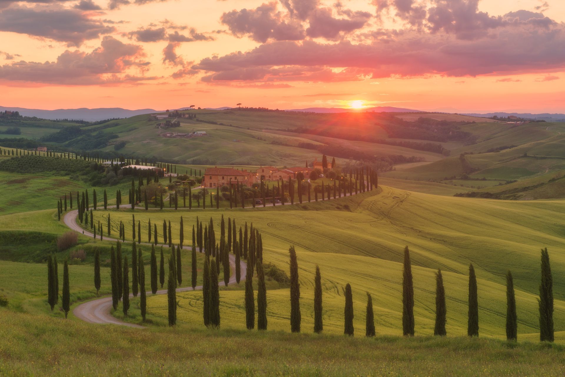 Sunset over rolling green hills with a winding road and tall cypress trees