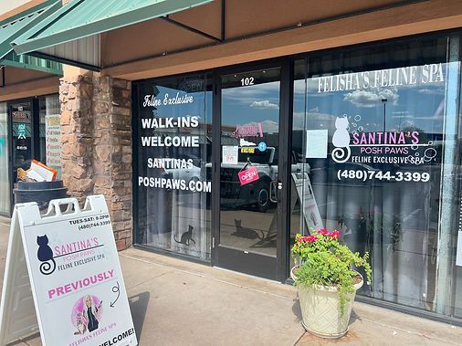 Entrance to Santina's Posh Paws cat spa. Glass door, sign reads 