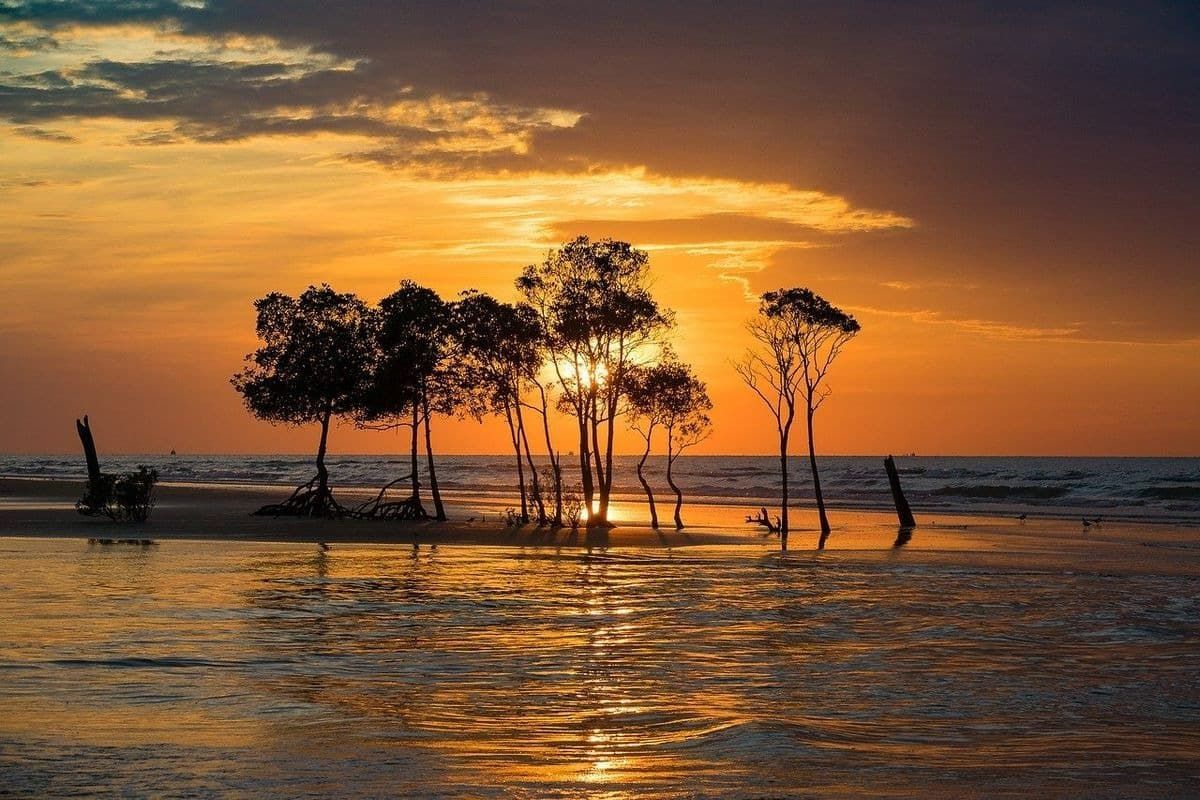 A Group of Trees on A Small Island in The Middle of The Ocean at Sunset — Psych Solutions NT in Leanyer, NT
