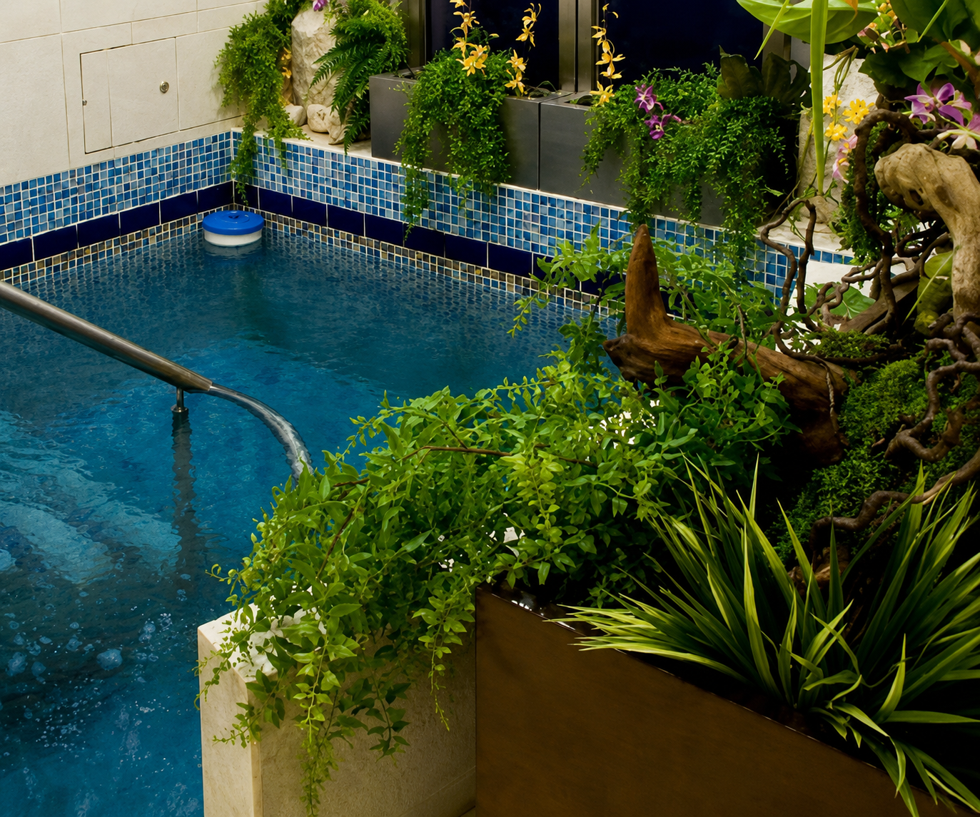 Indoor stairwell with a blue-tiled water pool, plants, and a blue vending machine at the far end.