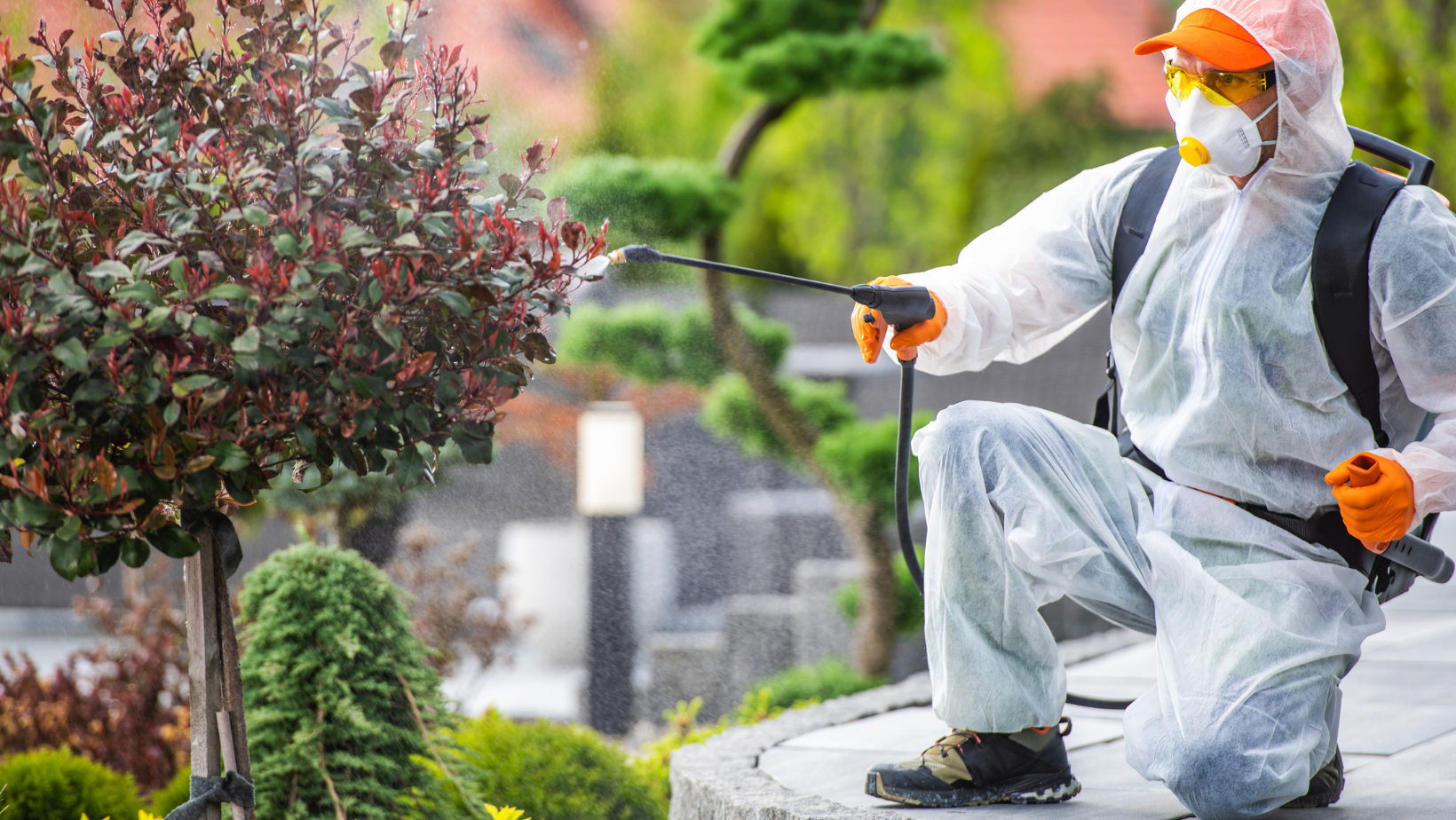 Pest Control - Senoia, GA - Home Source Pest Control Pest Control - Senoia, GA - Home Source Pest Control