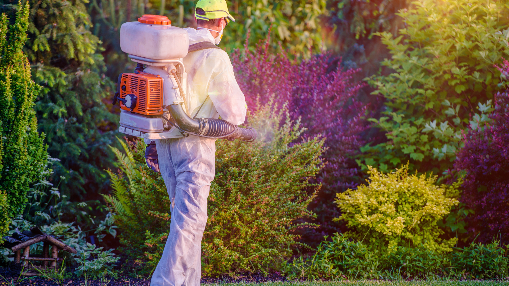 Pest Control - Senoia, GA - Home Source Pest Control Pest Control - Senoia, GA - Home Source Pest Control