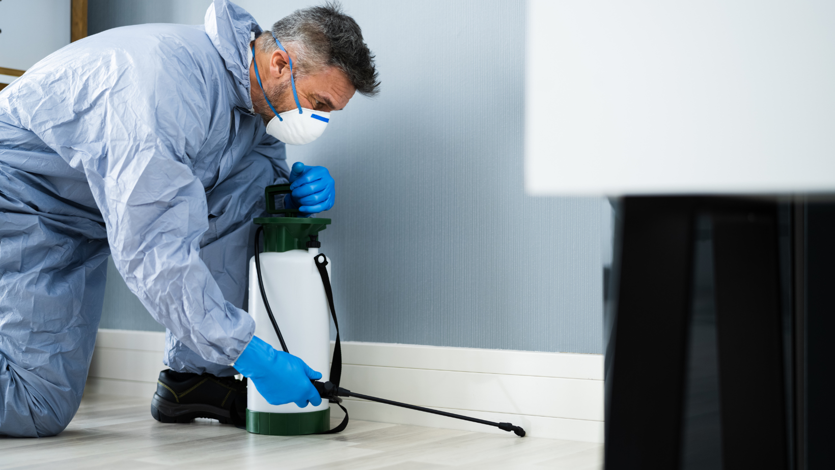 Pest Control - Senoia, GA - Home Source Pest Control Pest Control - Senoia, GA - Home Source Pest Control