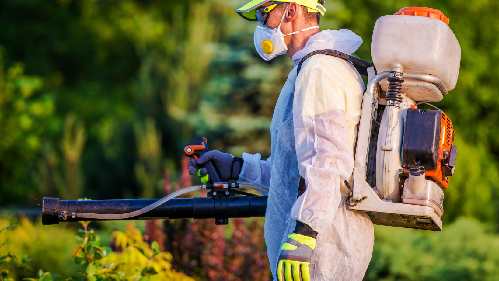 Pest Control - Senoia, GA - Home Source Pest Control Pest Control - Senoia, GA - Home Source Pest Control
