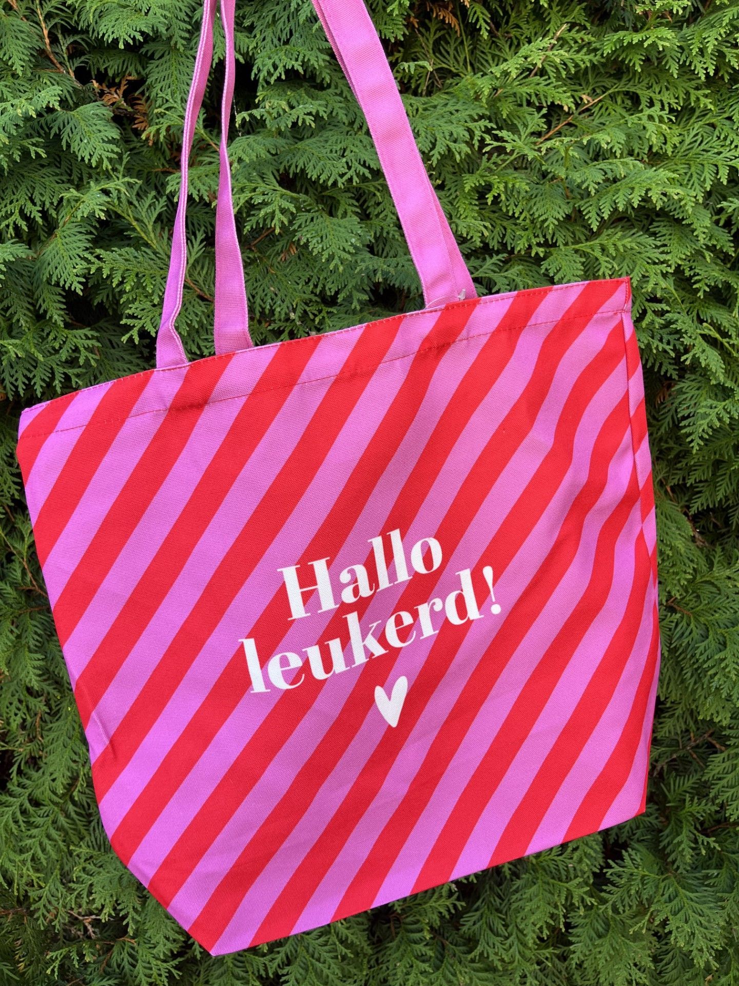 Tas hallo leukerd!