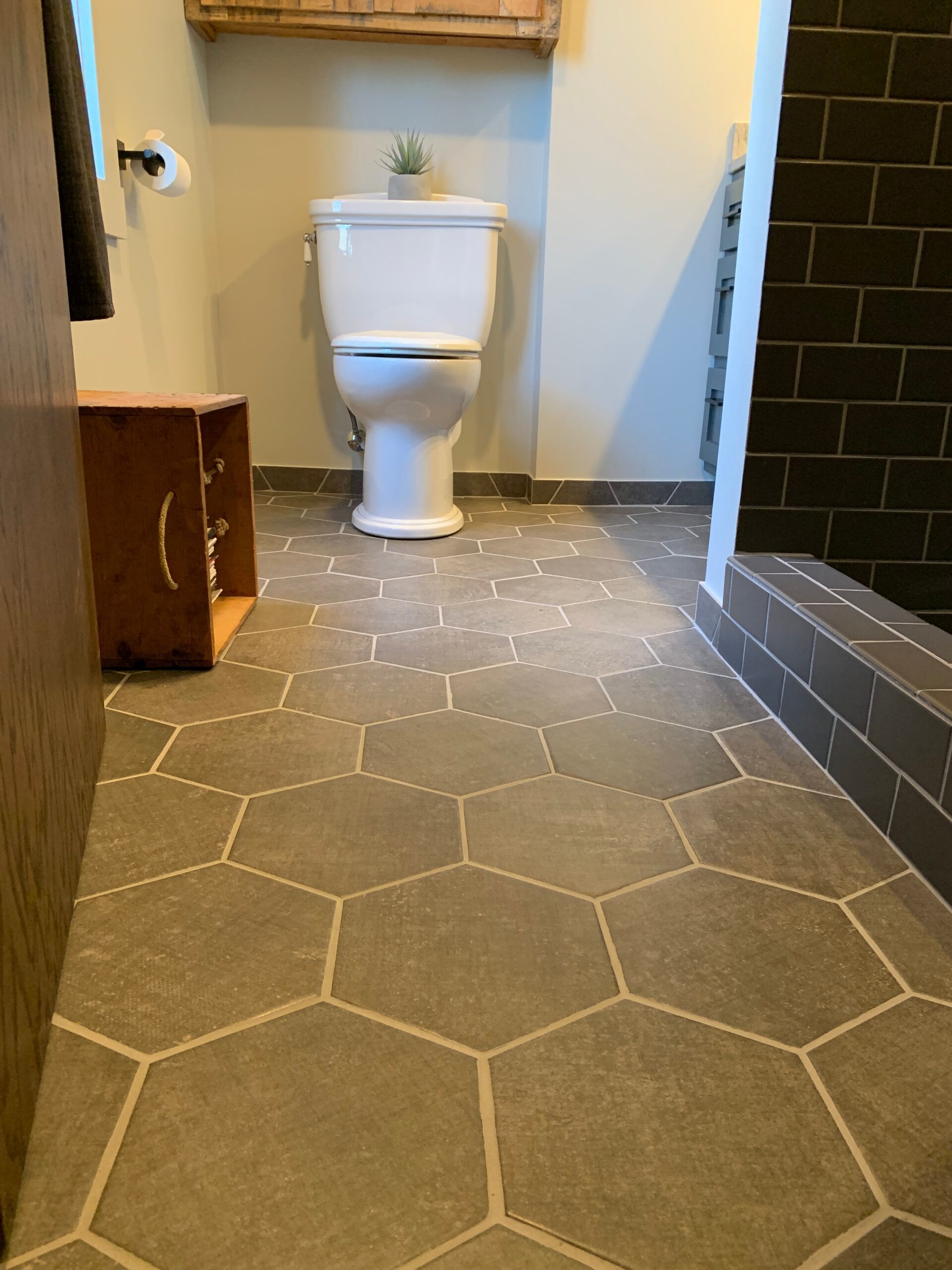 Small bathroom with white toilet, patterned floor tiles, and a step up to the shower area.