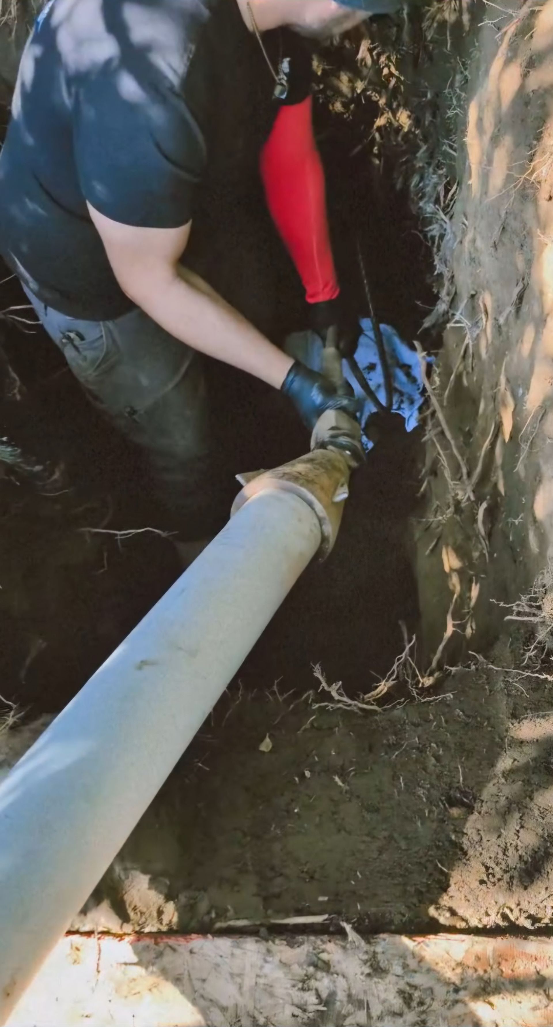 A gloved hand holding orange flowers reaches through a dirt hole toward blue sky