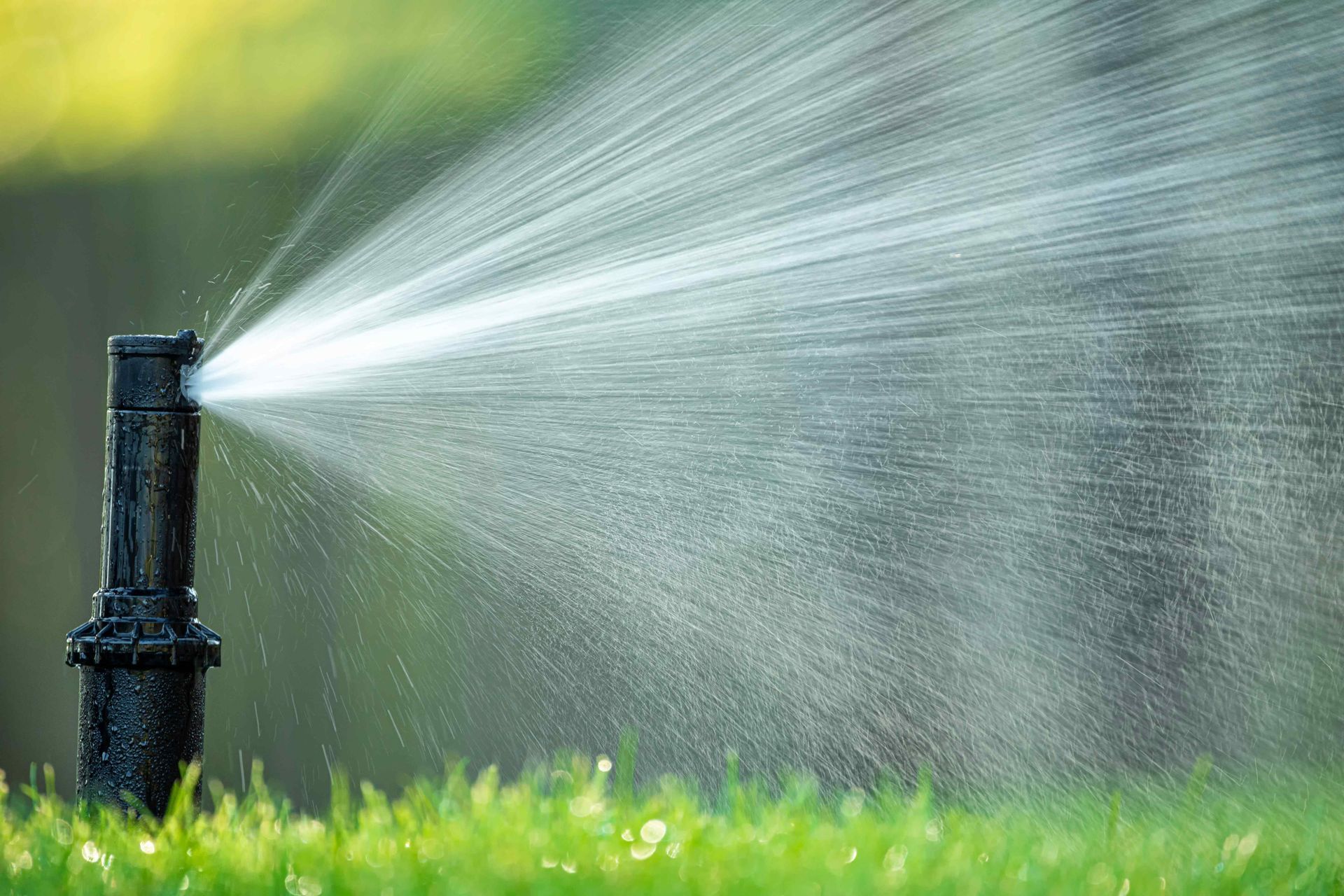 Sprinkler spraying water onto green grass on a sunny day.