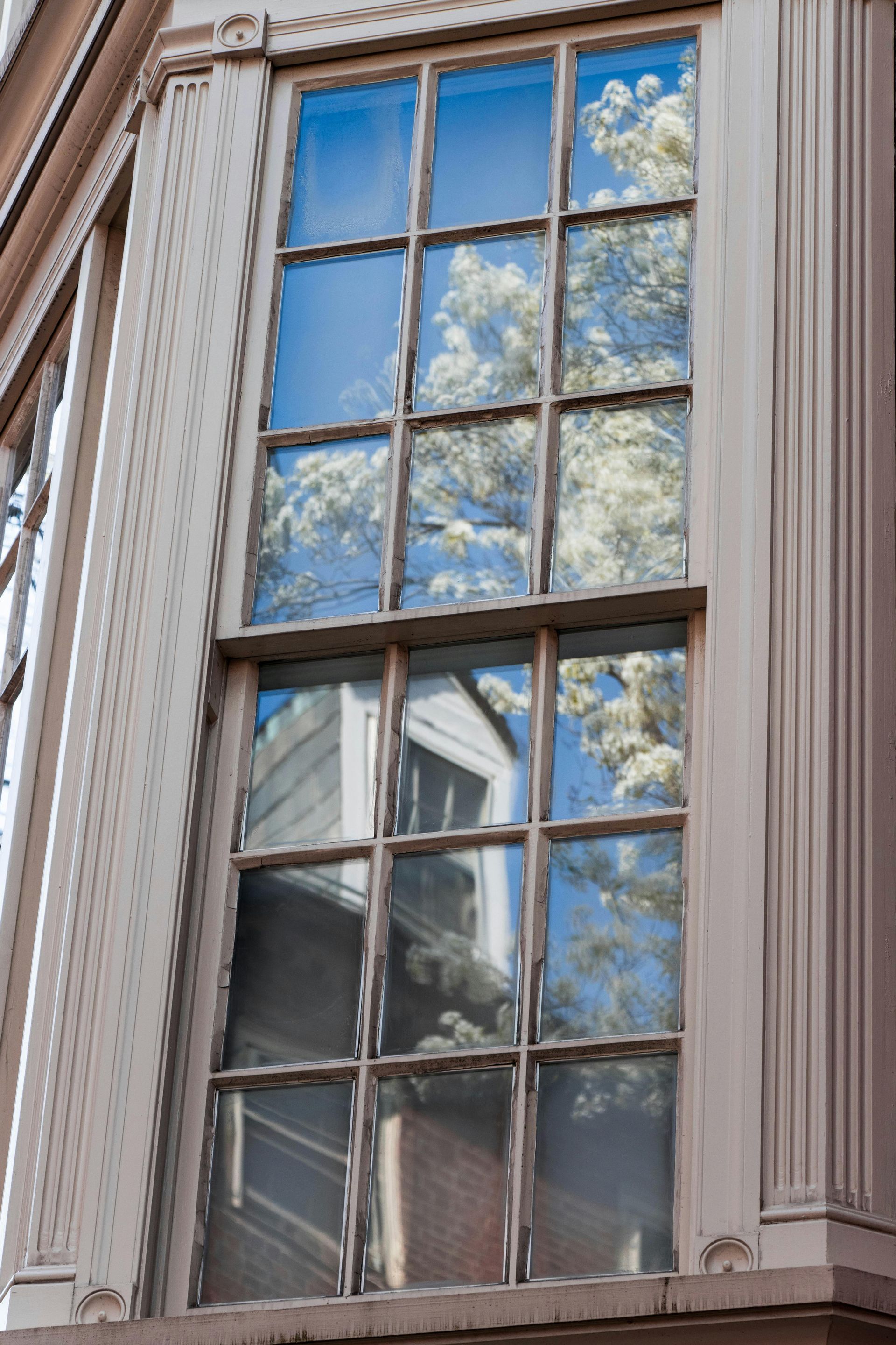 Tall Window Reflecting Blue Sky and Tree Branches on A Beige Building Facade — Eastons Window Cleaning in Newcastle, NSW