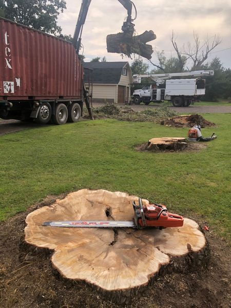 A chainsaw is sitting on top of a large tree stump.