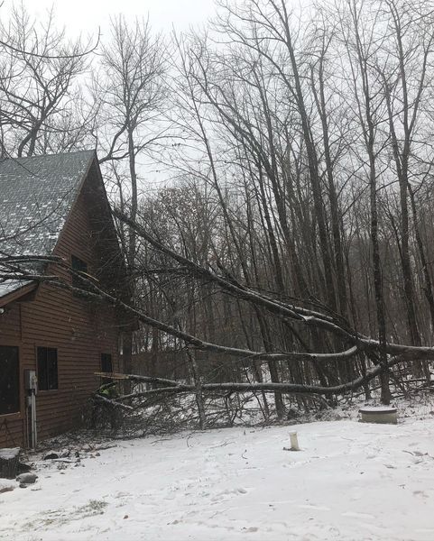 A brick house is surrounded by snow covered trees.